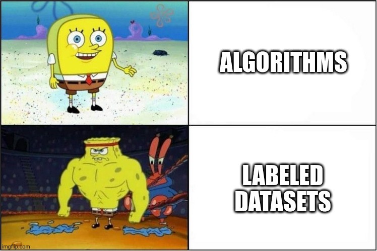 datasets beat models